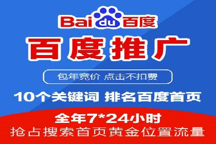 百度广告投放策略与效果评估案例